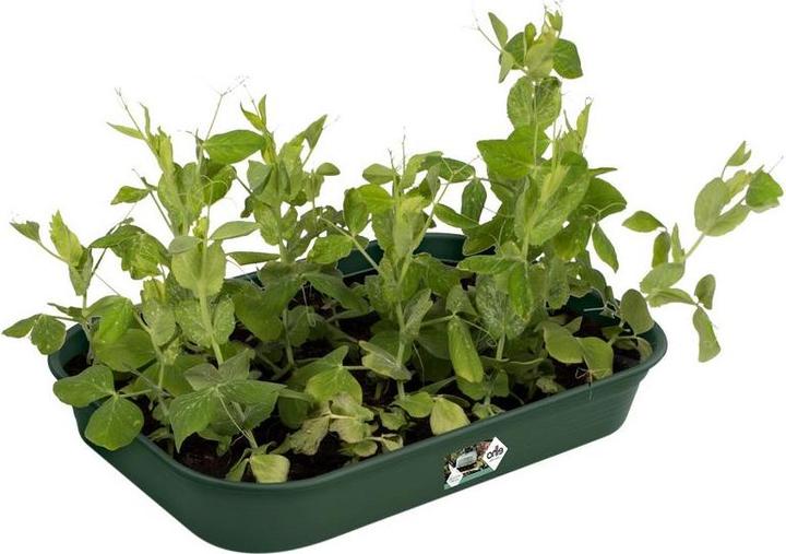 Image du produit Elho Green Basics