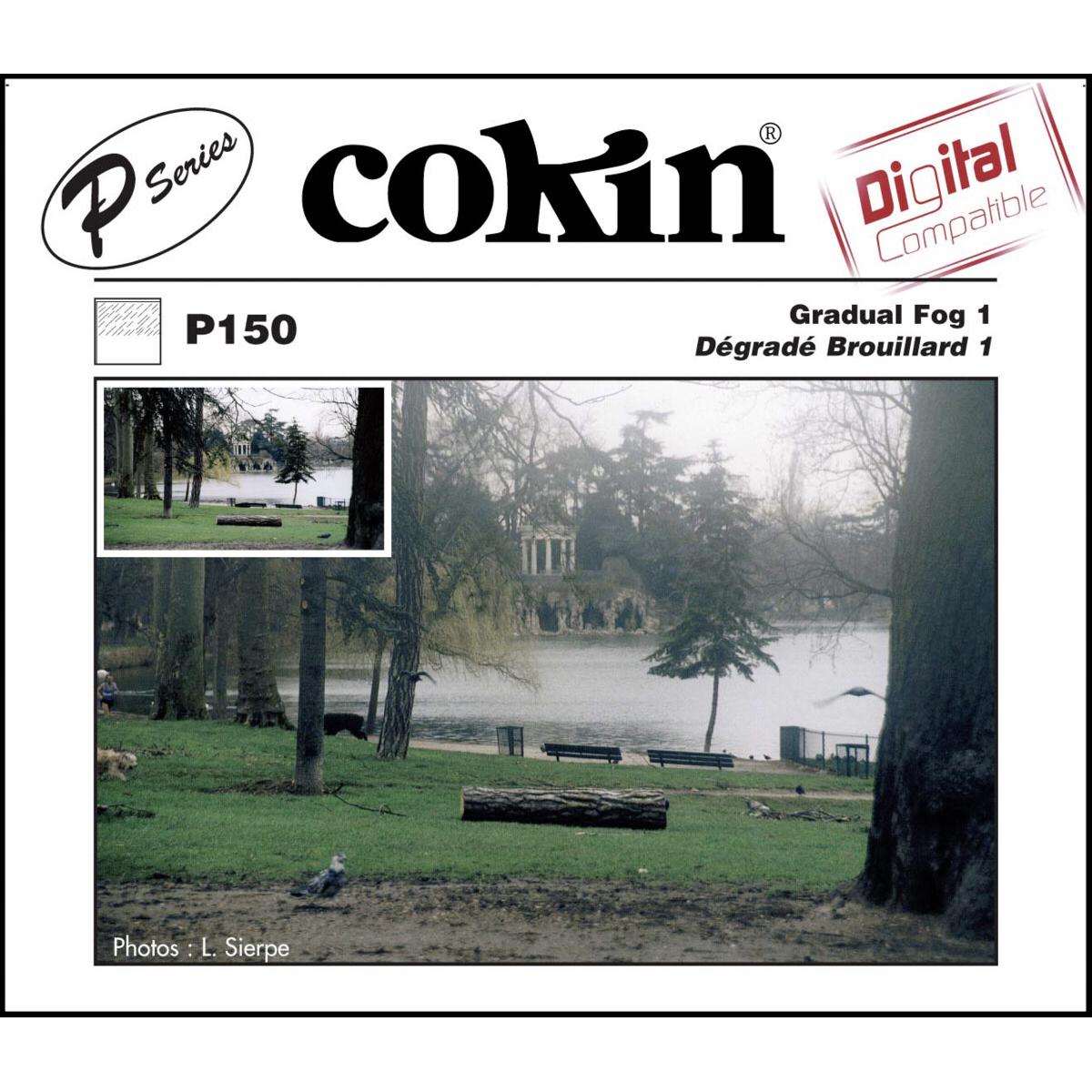 Cokin Filter P150 Verlauf Nebel 1 (84 mm, ND- / Grauverlauffilter, 84 mm), Objektivfilter