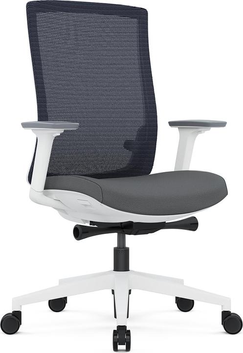Actual product image ofinto Ergo