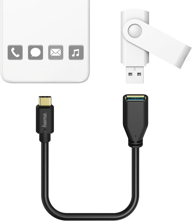 Image du produit Hama USB C - USB A (0.15 m, USB 3.1)