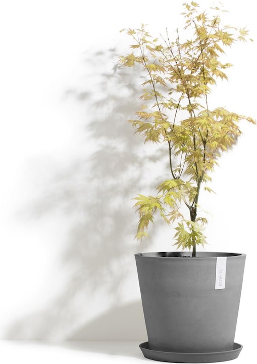 Actual product image Ecopots Amsterdam (50 cm)