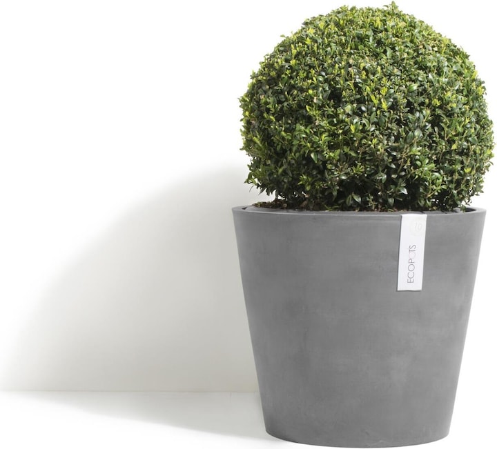 Actual product image Ecopots Amsterdam (50 cm)
