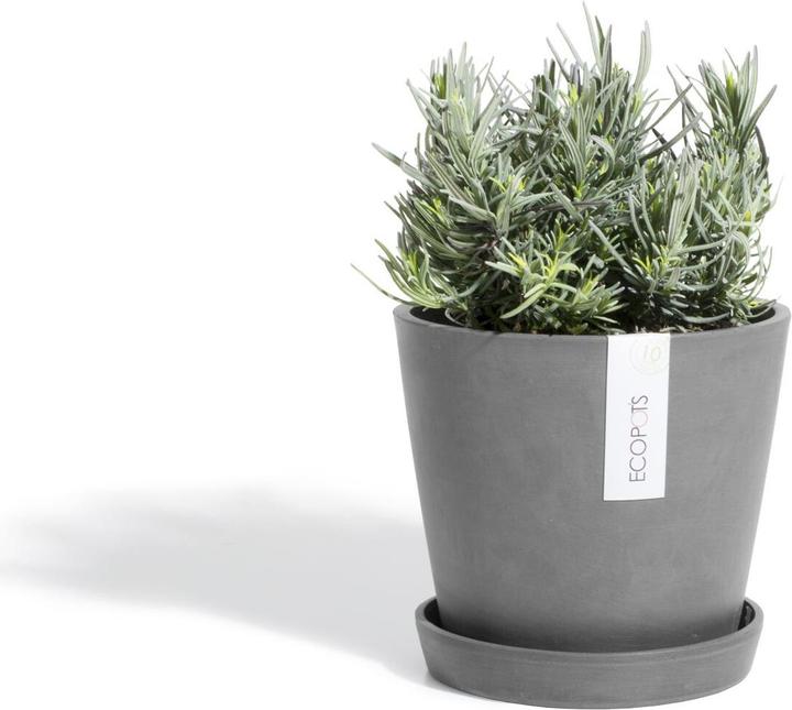 Produktbild Ecopots Saucer Round