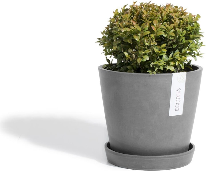 Actual product image Ecopots Amsterdam saucer