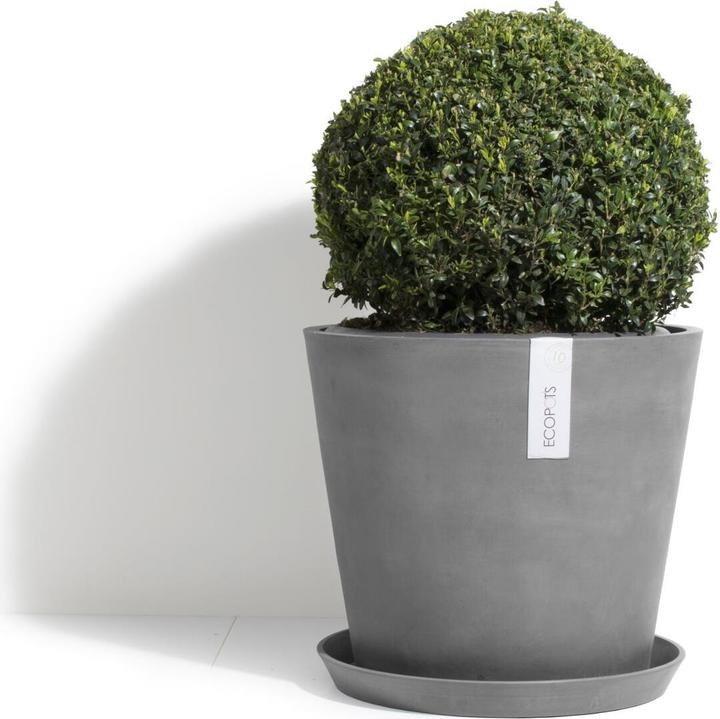 Produktbild Ecopots Saucer Round
