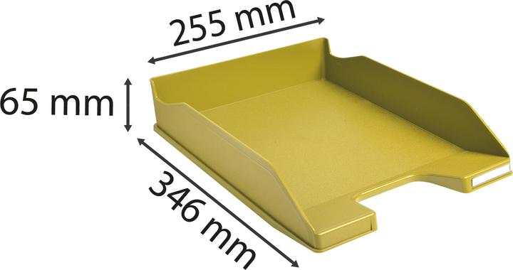 Actual product image Exacompta Format portrait (A4+)