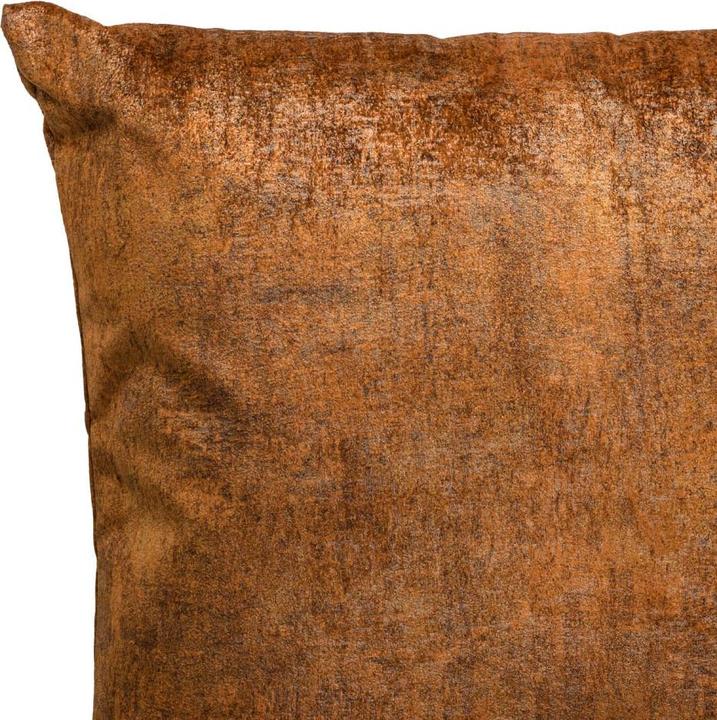 Produktbild Valerian (65 x 65 cm)