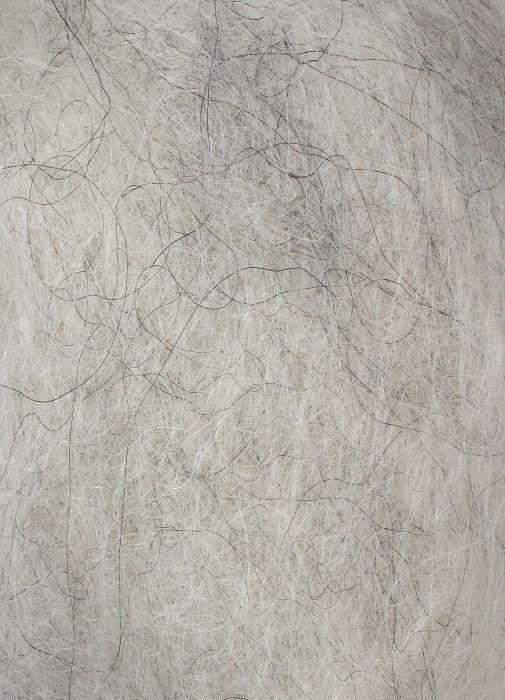 col. 0054 ash