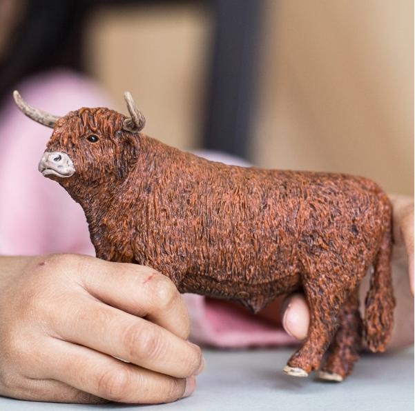 Image du produit Schleich Highland Bull