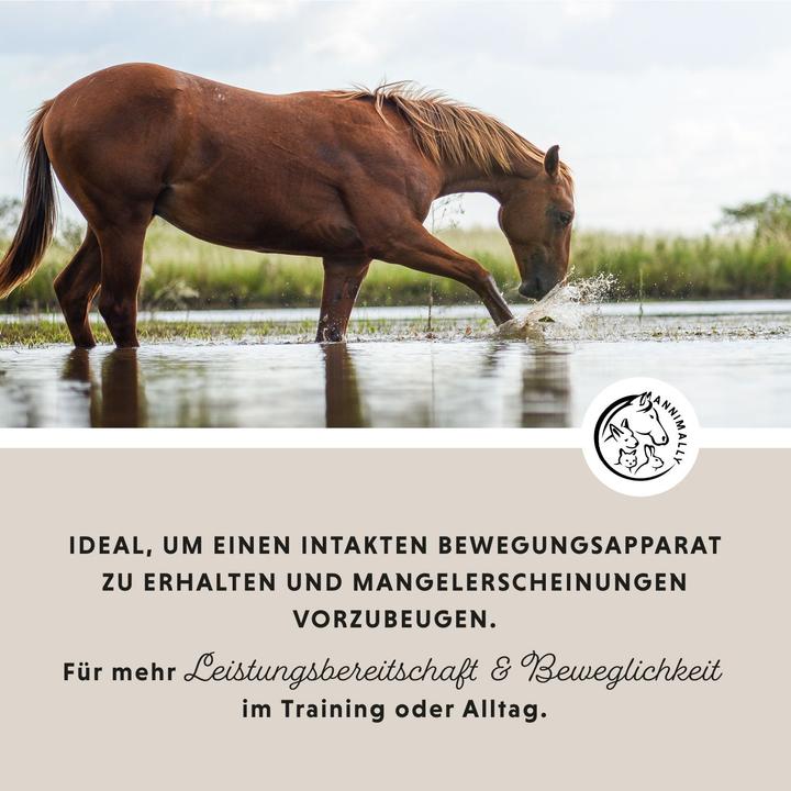 Produktbild Annimally Bewegungsfreude Sensitiv (850 g)