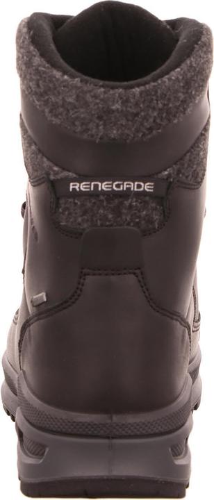 Actual product image Lowa Renegade Evo Ice GTX (44.5)