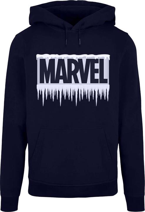 Produktbild Icicle Logo Kapuzenpullover (XL)