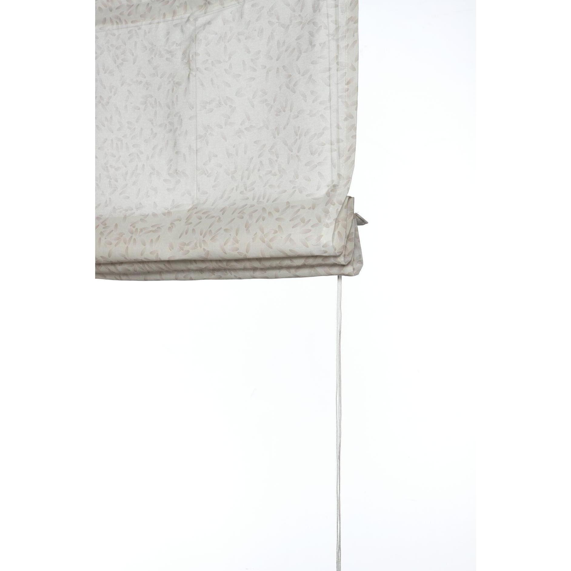 Gardinia, Rollo, GRS Raffrollo Zen Silence (80 x 140 cm)