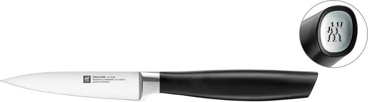 Zwilling All Star Paring Knife 100, chrome-silver (10 cm)