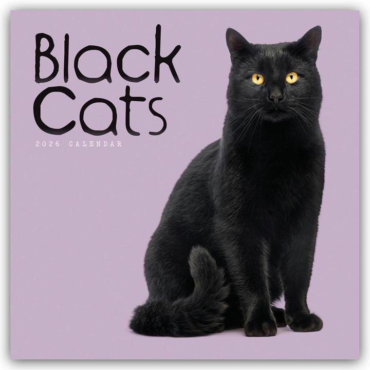 Immagine prodotto Black Cats - Schwarze Katzen 2025 - Wand-Kalender (30,5 x 30,5 cm, Tedesco)