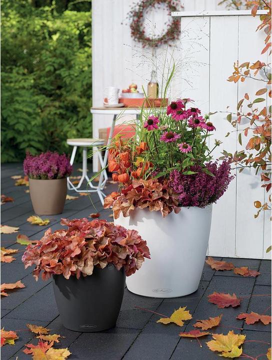 Produktbild Lechuza Classico Color (34.50 cm)
