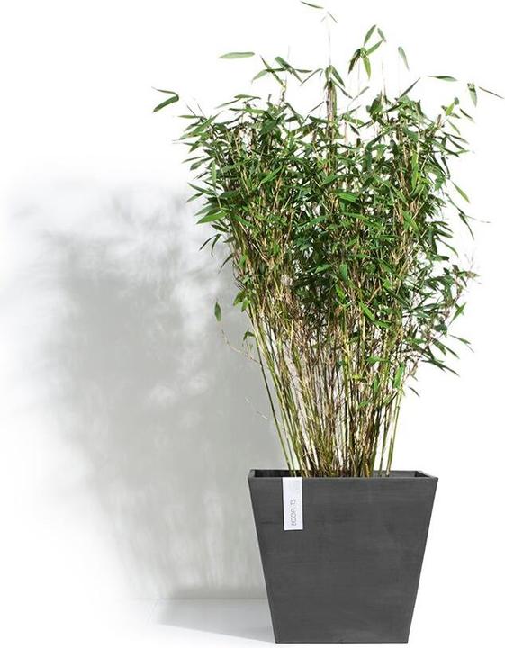 Immagine prodotto Ecopots Rotterdam (40 cm)