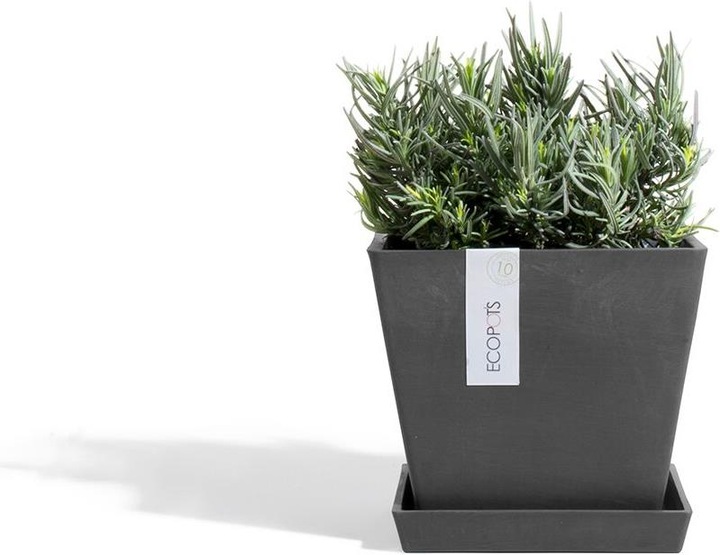 Actual product image Ecopots Saucer Rotterdam