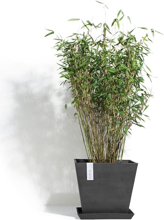 Actual product image Ecopots Saucer Rotterdam
