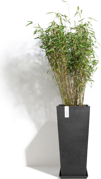 Produktbild Ecopots Rotterdam High (32 cm)