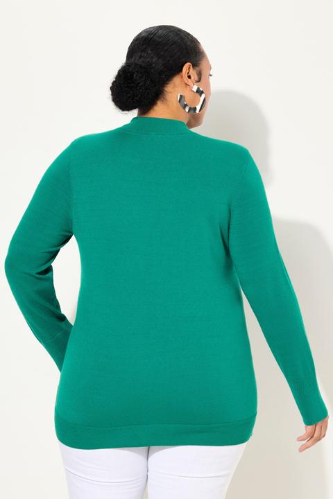 Image du produit Ulla Popken Pull à col montant et manches longues, bords-côtes (42, 44)