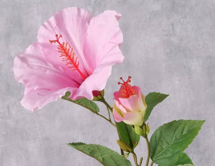 Immagine prodotto Boltze Home Stielblume (5 cm)