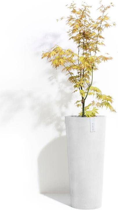 Actual product image Ecopots Amsterdam (32 cm)
