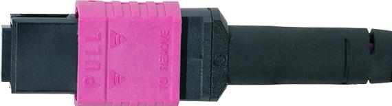 Actual product image LogiLink Prüfen (20 m)