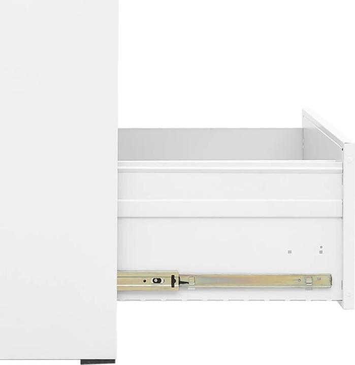 Actual product image vidaXL Aktenschrank (46 x 62 x 72.50 cm)