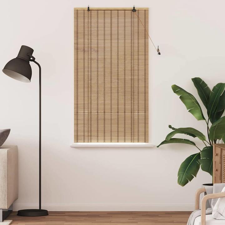 Immagine prodotto VidaXL Tende per finestre (100 x 160 cm)