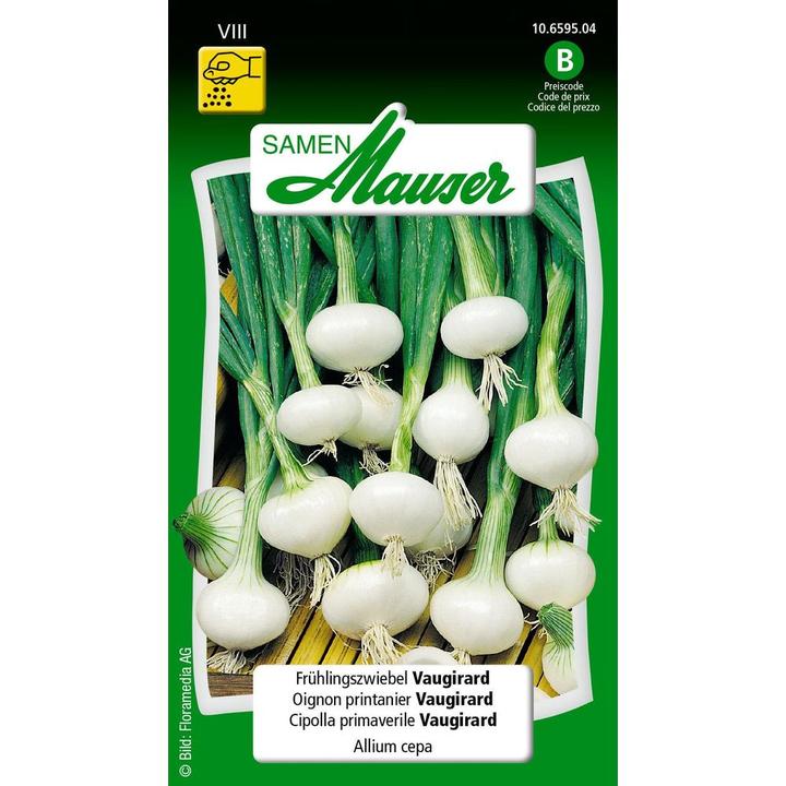 Image du produit Samen Mauser Oignon de printemps Vaugirard (Plante bulbeuse)