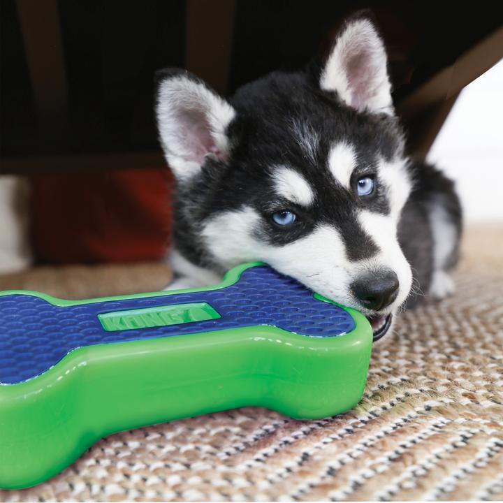 Actual product image KONG Eon Bone (Retrieval)