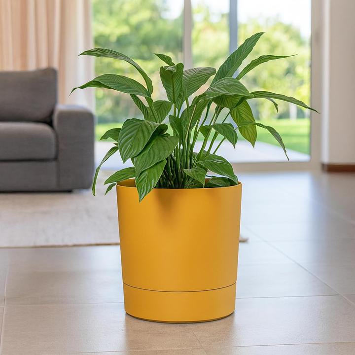 Produktbild Konzept Grosser Blumentopf