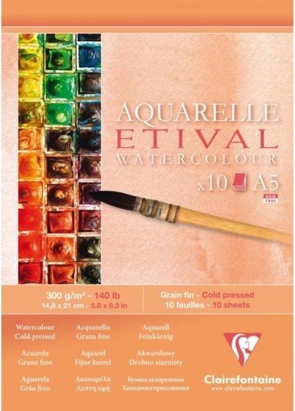 Actual product image Clairefontaine Moist techniques (300 g/m², 480 x)