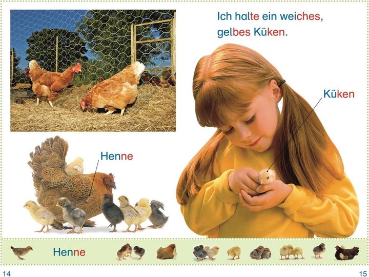 Produktbild SUPERLESER! Lina im Streichelzoo (Deutsch, Simone Heller, 2022)