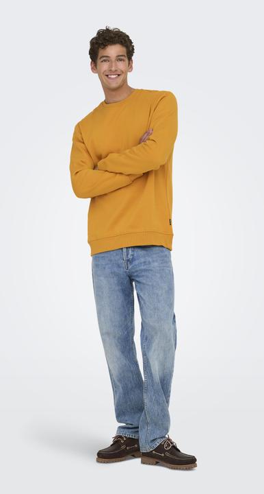 Produktbild Only & Sons Onsconnor Reg Crew Neck Sweat Noos (L)