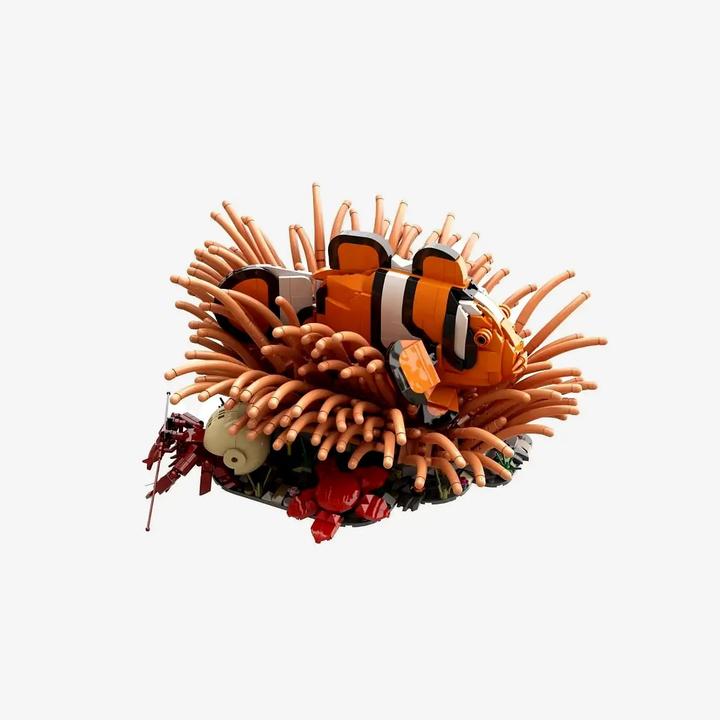 Image du produit BlueBrixx-Pro Clownfisch