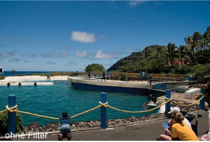 Actual product image Kenko PRO1D C-PL (72 mm, Polarizing filter)