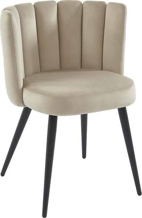 Image du produit Pascal Morabito Pranila