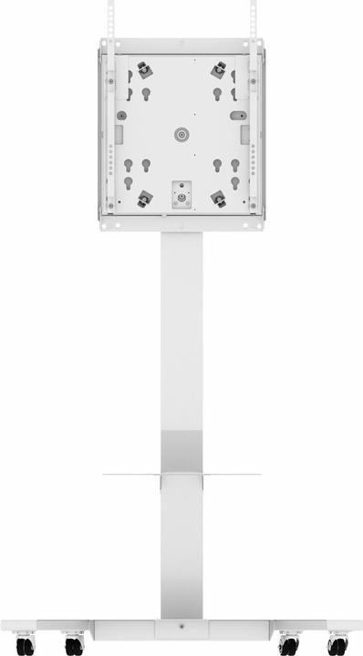 Image du produit Hagor système de support mobile pour SAMSUNG WM55H et WM55R (45 kg, 55")