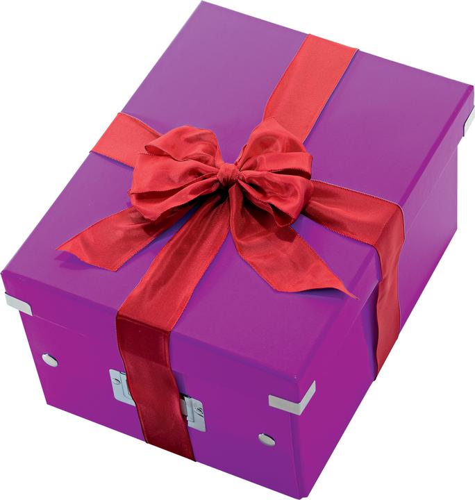 Actual product image Leitz Wow Click & Store Storage Box (A4)