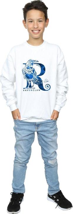 Produktbild Ravenclaw Raven Sweatshirt Jungen (152, 158)