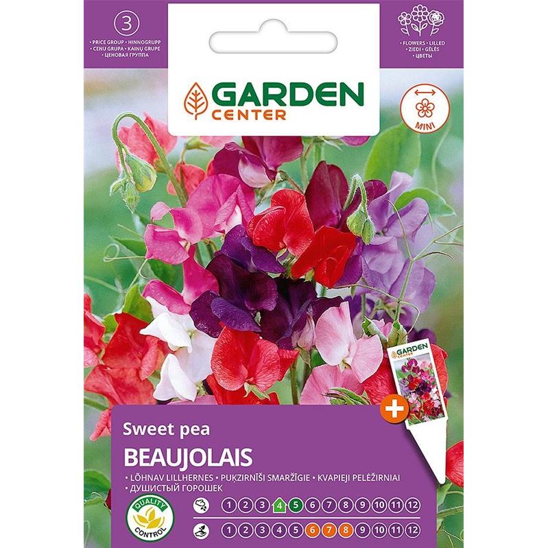 Garden Center, Semi, Seeds BEAUJOLAIS, 2 g