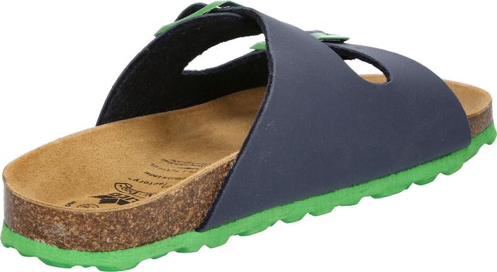 Actual product image Lico Bioline Kids (40)