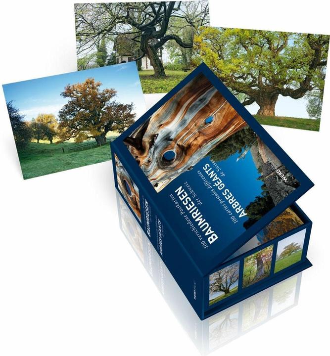 Produktbild Postkartenbox Baumriesen der Schweiz (100 Stk.)