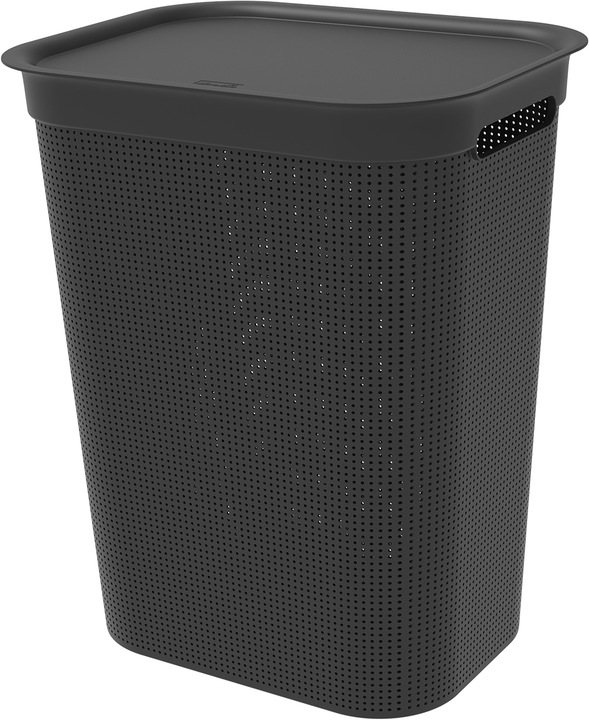Actual product image Rotho Brisen (50 l)