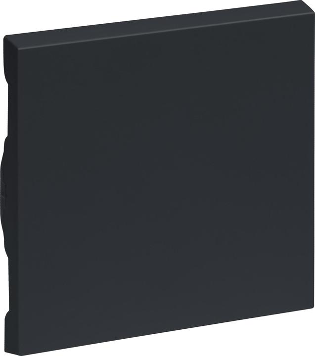 Anthracite lacquered