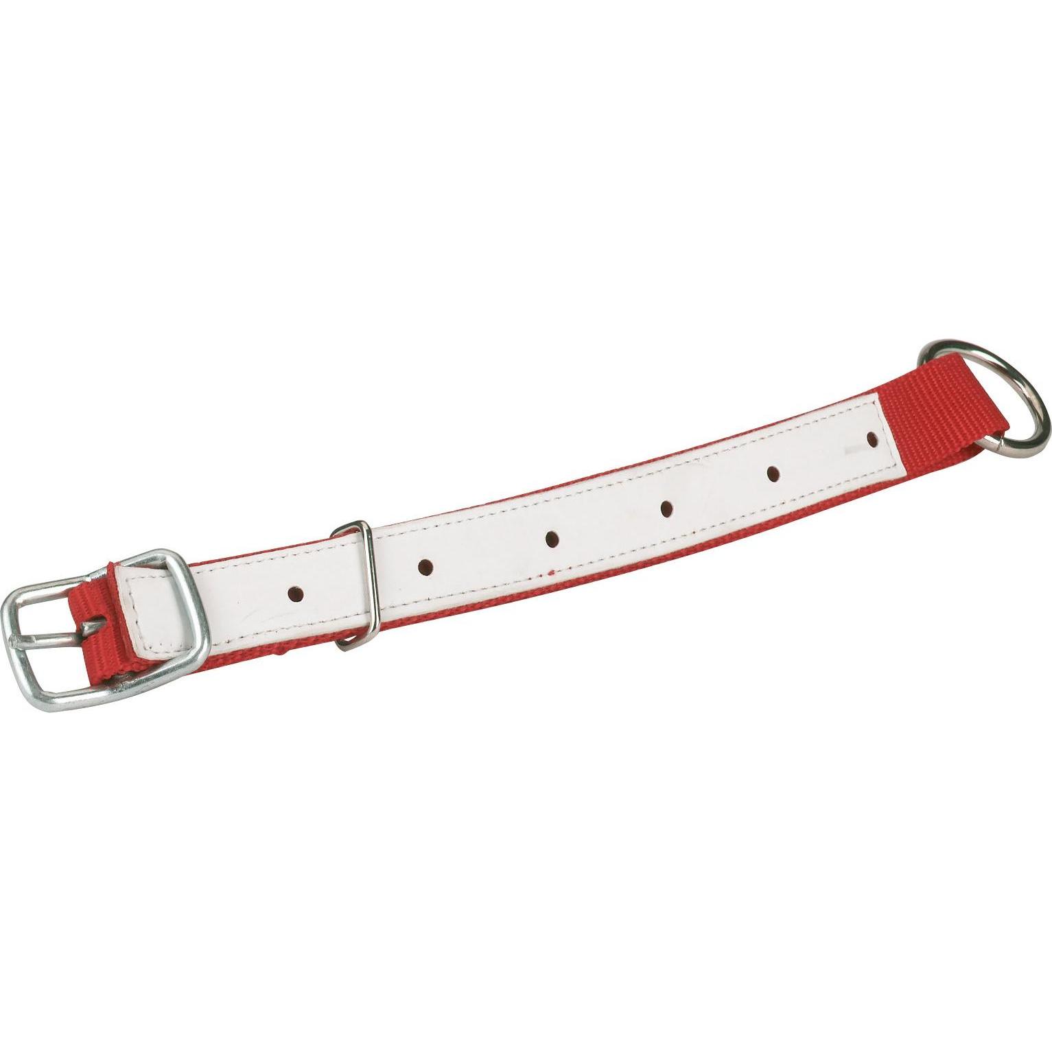 Kerbl Halsriemen für Schafe und Ziegen (27188)