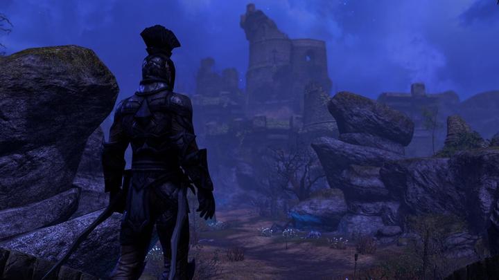 Actual product image Bethesda The Elder Scrolls Online - Tamriel Unlimited (PS4)