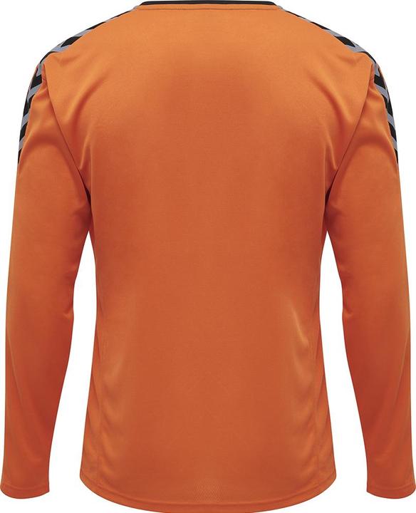 Produktbild hummel Authentic Poly Jersey L/S (M)